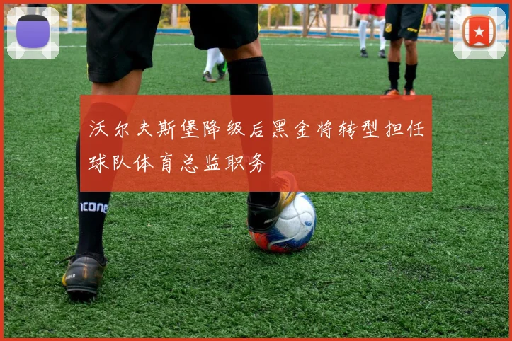 沃尔夫斯堡降级后黑金将转型担任球队体育总监职务
