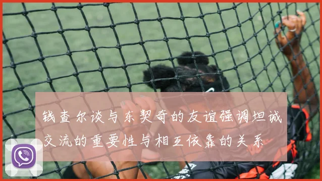 钱查尔谈与东契奇的友谊强调坦诚交流的重要性与相互依靠的关系